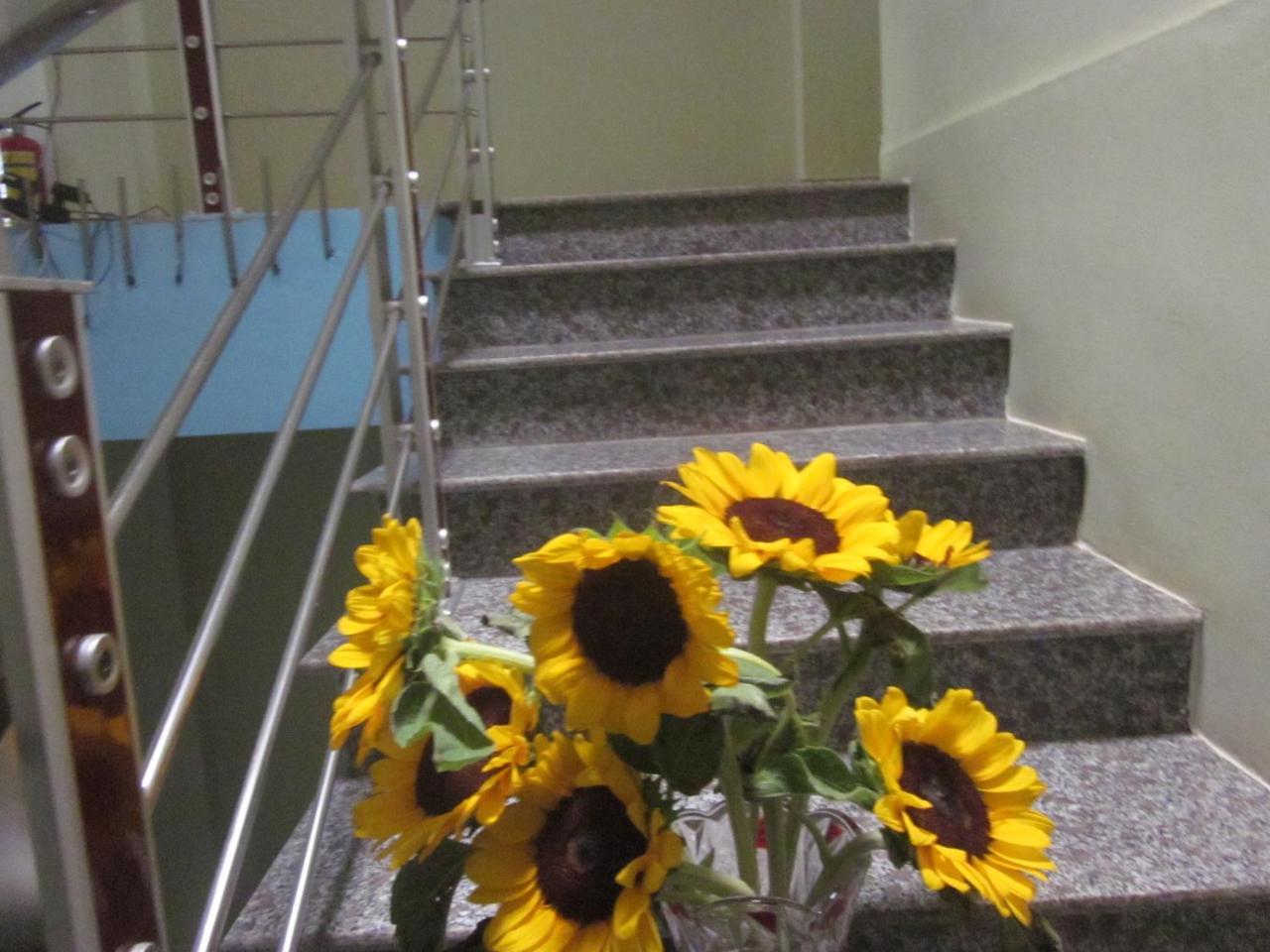 Thien Phu Hostel ฟ็องญา ภายนอก รูปภาพ